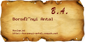 Borsányi Antal névjegykártya